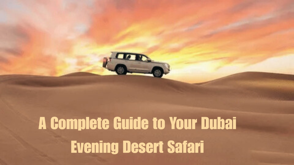 A Complete Guide to Your Dubai Evening Desert Safari